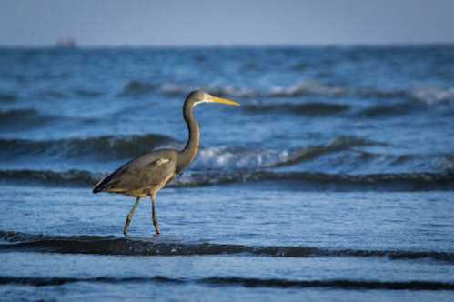 NBA字母哥有可能被交易吗?美媒曝公鹿被询价时的反应