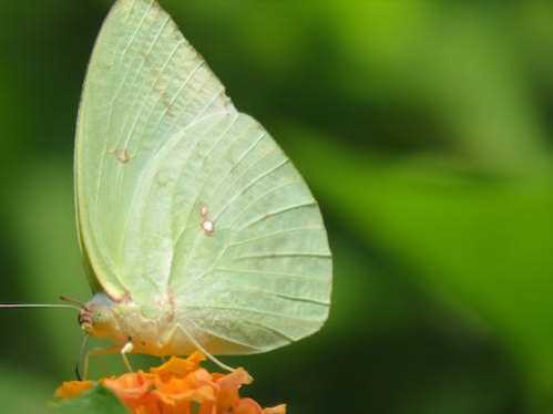 NBA禁区战力一个接着一个倒!溜马发动交易换来208公分射手长人