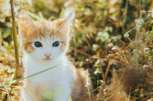 NBA湖人双星需要帮手美媒爆愿送出3首轮籤交易来顶级球星