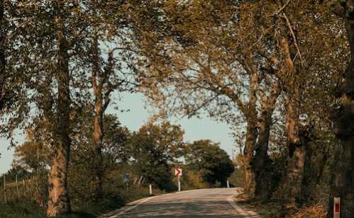 奥唐奈队录像 斯诺克威尔士公开赛资格赛 对战vs王雨晨队回放 2026年01月11日 09:40:44比赛视频完整直播回看