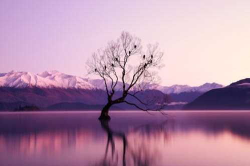 NBA球季后将成为自由球员！卡鲁索谈对新合约的期待