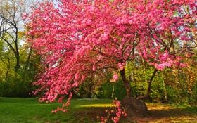 赵心童队录像 斯诺克大师赛1/4决赛 对战vs希金斯队回放 2026年01月16日 09:33:11比赛视频完整直播回看