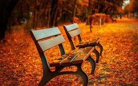 NBA看好勇士成新赛季黑马戴维斯:对波杰姆斯基期望很高