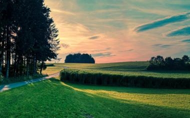 NBA飙36分送绿衫军本季最惨败仗拉文：我们很有竞争力