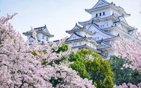 录像 2017年2月15日CBA常规赛 广厦队-吉林 对战vs吉林队回放 未知 比赛视频完整直播回看