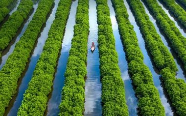 个人秀美如画！华子蝴蝶穿花一挑四潇洒上篮